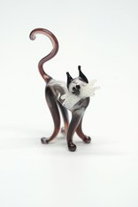 Кошка на дыбах