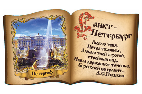 Санкт-Петербург. Книга