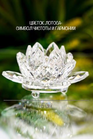 Цветок Лотоса, прозрачный